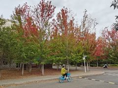 -辽宁大学(崇山校区)