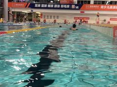 -南山文体中心-游泳馆
