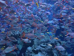 -成都浩海立方海洋公园