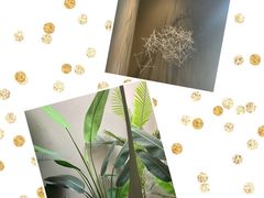 -隐溪茶馆(金虹桥店)