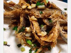 -全乐鱼馆·淳牌有机鱼直营店