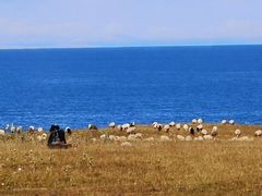 -青海湖国家重点风景名胜区