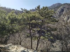 -北京鹫峰国家森林公园