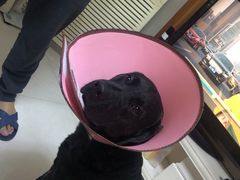 -贝利宠物医院·骨科·眼科·肿瘤转诊中心(南坪诊疗中心)