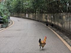 -黔灵山公园