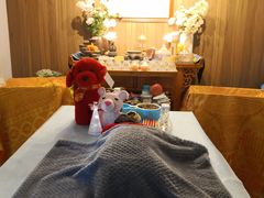 -翡翠森林宠物火化殡葬(通州店)
