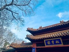 -桃花堤公园