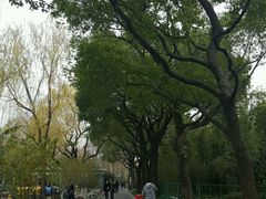 -鲁迅公园