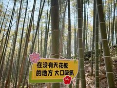 -东明山森林公园