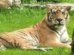 -北京野生动物园