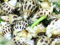 葱姜炒花螺-贞姨美食·老字号海鲜大排档