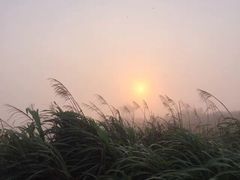 -东极岛景区