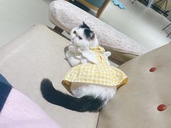 -藏猫猫咖啡主题馆(中央大道店)