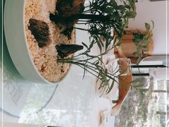 -御仙都北京菜馆·烤鸭店(双井店)
