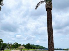 -上海月湖雕塑公园