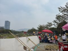 -光明小镇欢乐田园