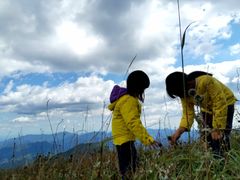 -白草畔自然风景区