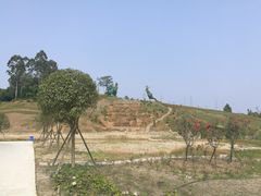 -都江堰玫瑰花溪谷
