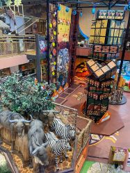 -卡通尼·Safari非洲探索乐园·生日会(金桥国际商业广场店)