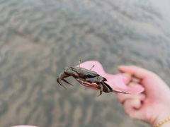 -南汇新城海滩