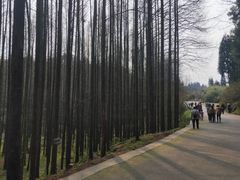 -山王坪喀斯特国家生态公园