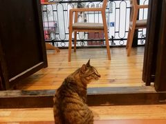 -猫的天空之城概念书店(杭州南宋御街店)