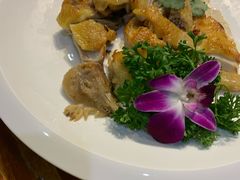 -顺德了能馆(虎门店)