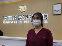 -瑞派雷欧宠物医院·24h夜诊·心脏骨科牙科·全科重症转诊中心(无影山店)