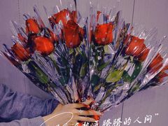 -东莞宠友24H宠物中心医院·转诊夜诊·异宠(新河北路院)