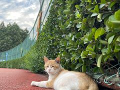 -昌平体育局室外游泳馆