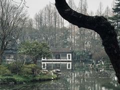 -杭州植物园