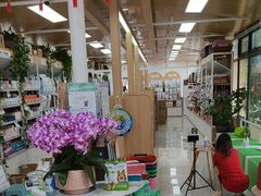 -中国农业大学动物医院