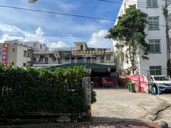 -霞姐屯昌枫木香草鸭店(海螺店)