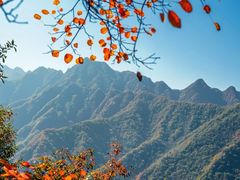 -秦岭终南山世界地质公园翠华山景区