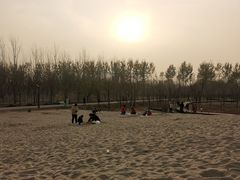 -东郊湿地公园