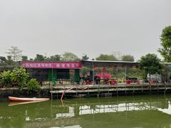 -荔枝红五号农庄