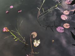 -星巴克(深圳前海企业公馆店)