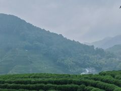 -西湖风景区十里琅珰-五云山