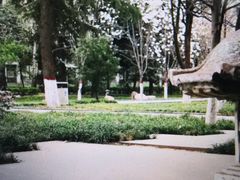 -木塔寺遗址生态公园