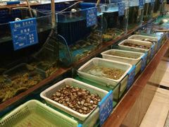 水产区-蓝港海鲜厨房(金水路店)