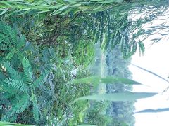 -亲兄弟真人CS团建拓展基地