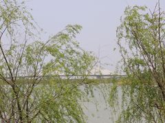 -杏花村文化旅游区
