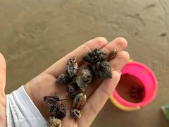 -日月湾海门游览区