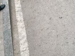 -咱家王新国把子肉(县东巷店)