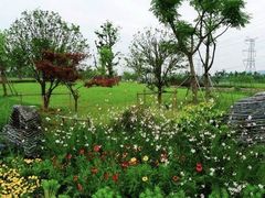 -九里河湿地公园