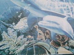 -北海·海洋之窗