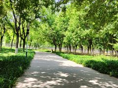 -秀水公园