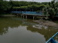 -广州长隆飞鸟乐园