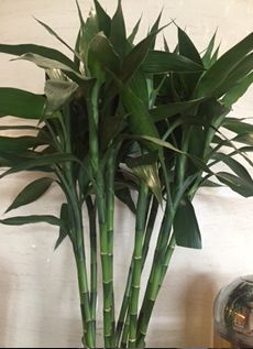 -广交会威斯汀酒店