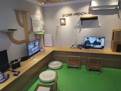 -MOCHA明星猫咖(田子坊店)